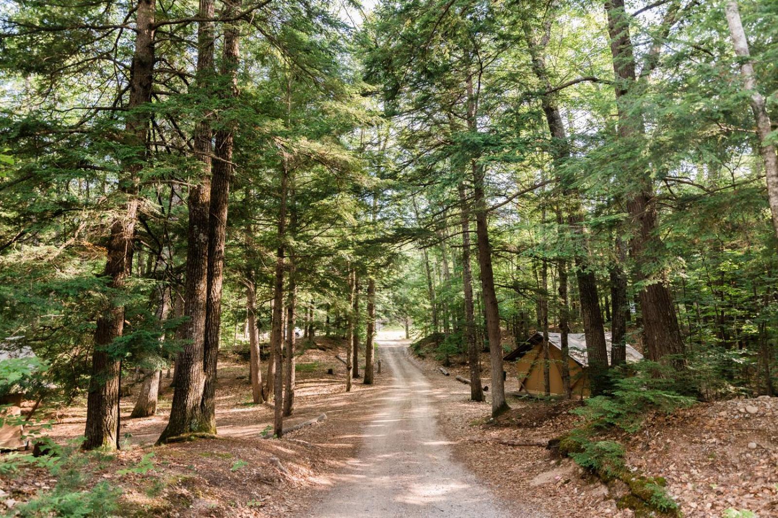 Huttopia White Mountains Albany Dış mekan fotoğraf